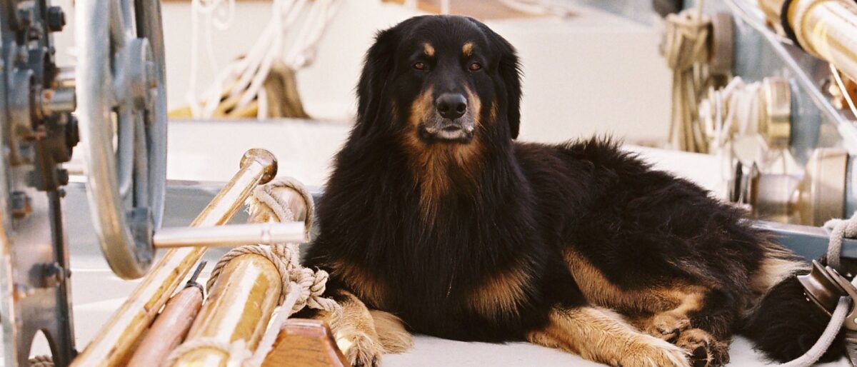 Permalink naar: Reisinformatie